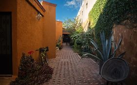 Niyana Oaxaca